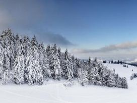 2 Tage Erholung für die ganze Familie am Schluchsee