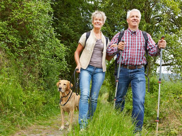 4 Pfoten Spezial in Sundern (Sauerland) Halbpension