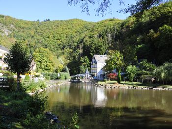 Eifel-Idylle und Schwanen Gastlichkeit