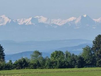 4 Tage Erholung im Bio- und Wellnesshotel Alpenblick