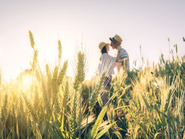 Kleine Oschatzer Schlemmer & Schlummer Auszeit Halbpension Plus