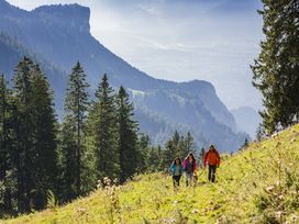 Bodensee Erlebnis-Kurzurlaub | 1 Nacht inkl. Freizeitkarte