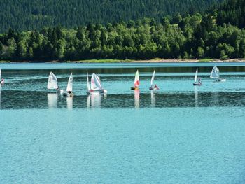 Bild 47 von 54