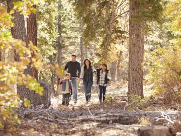 Familie spaziert im Bayerischen Wald