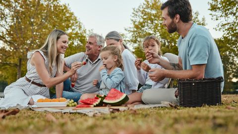 Picknick mit der Familie im Frühling