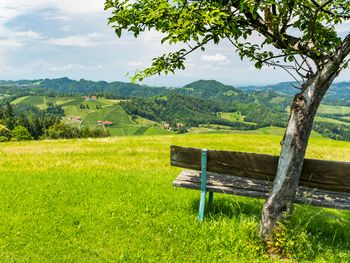 Auszeit im oststeirischen Bergland - 7 Tage