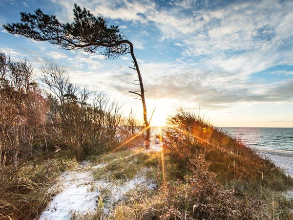 Winter Special – 4 Tage (Midweek) in Wieck a. Darß, Mecklenburg-Vorpommern inkl. Halbpension
