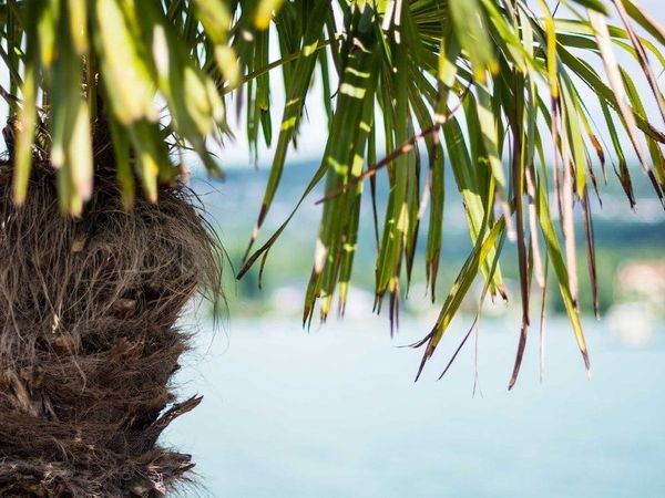 7 Tage Raus aus dem Alltag – Wow-Effekt am Wörthersee in Velden am Wörthersee, Kärnten inkl. Frühstück