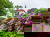 3 Tage Naturerlebnis bei Groningen