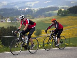 Umgeben vom Schwarzwald - 2 Tage Erholung am Titisee
