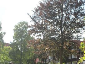 Ruhe im Harz - 3 Tage Erholung & Sport in Braunlage