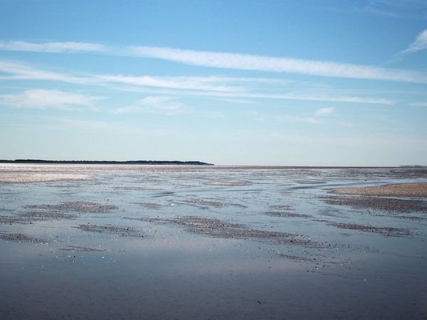9 Tage auf Föhr inkl. Kunst der Westküste in Wyk auf Föhr, Schleswig-Holstein