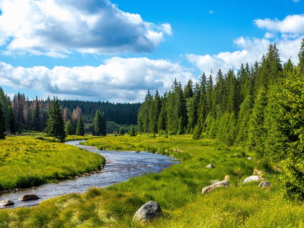 2 Tage Raus aus dem Alltag in Bonndorf im Schwarzwald, Baden-Württemberg inkl. Halbpension