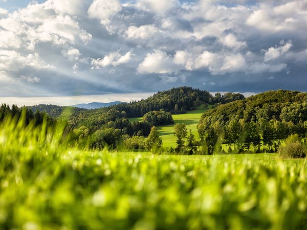 Bayerischer Wald für Individualisten / 4 Tage in Zwiesel, Bayern inkl. Frühstück