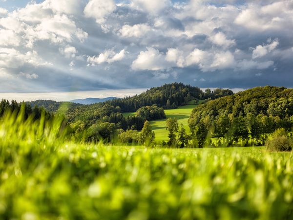 Bayerischer Wald für Individualisten / 6 Tage in Zwiesel, Bayern inkl. Frühstück