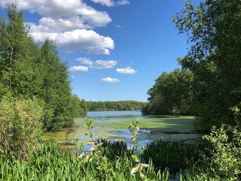 Glücksmomente Erleben in der Heide
