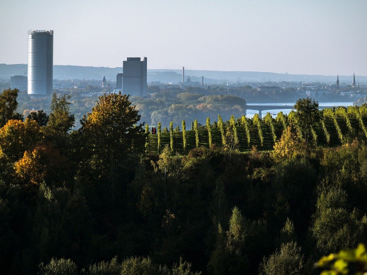 Bundeskunsthalle 2024