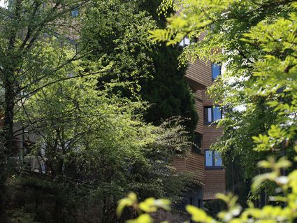 The Seven Hotel
