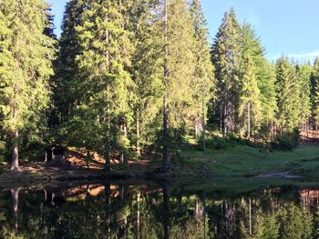 Bild 19 von 29