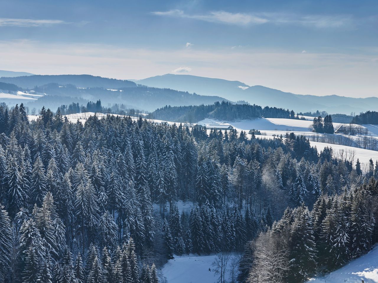 ElzLand Babymoon im Schwarzwald