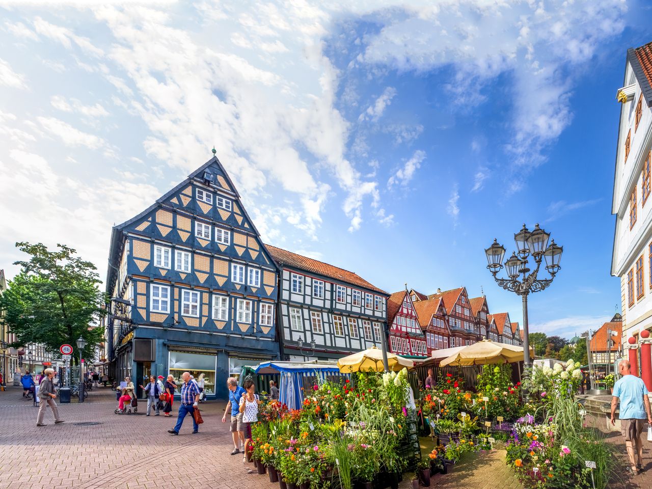 This is my Celle