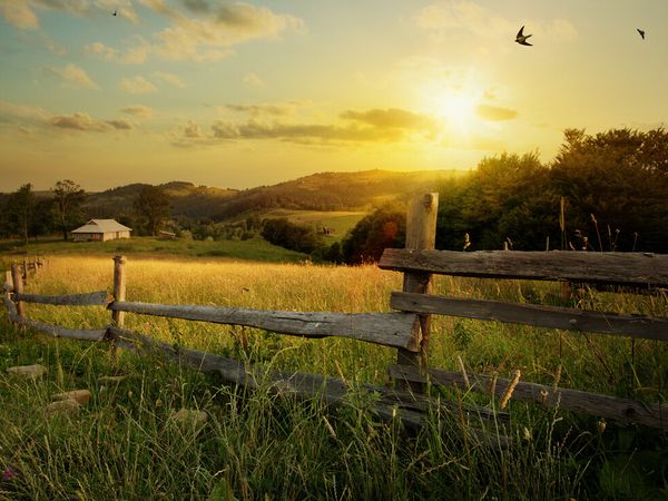 4 Tage Bauernhof-Idylle im Wanderparadies Berg. Land in Gummersbach, Nordrhein-Westfalen inkl. Halbpension