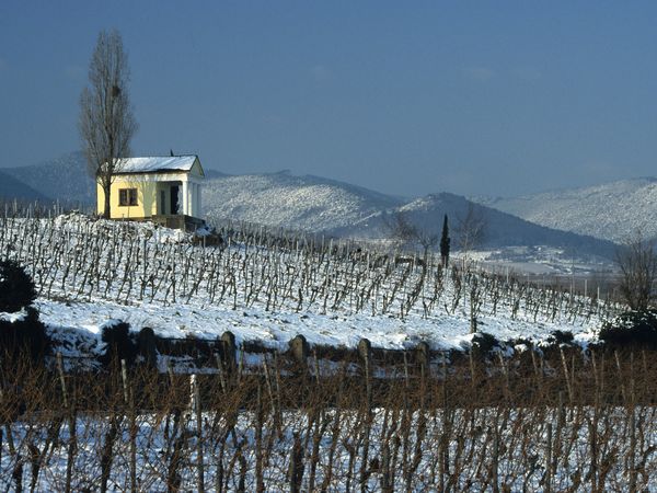 Wintermärchen Angebot in Maikammer, Rheinland-Pfalz inkl. Halbpension Plus