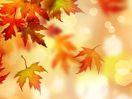 Herbstzauber am Beetzsee - 3 Tage inkl. HP plus