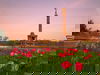 Mitten in Berlin - 4 Tage mit Frühstück