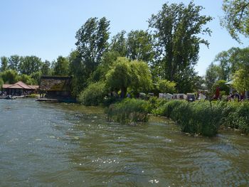Bild 43 von 56