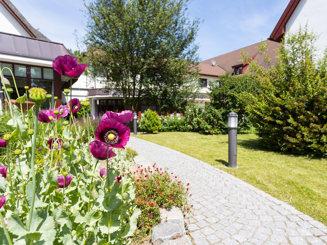 Ostsee-Urlaub in Warnemünde mit Halbpension I 7 Tage