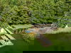 4 Tage am Döllnsee inkl. Halbpension
