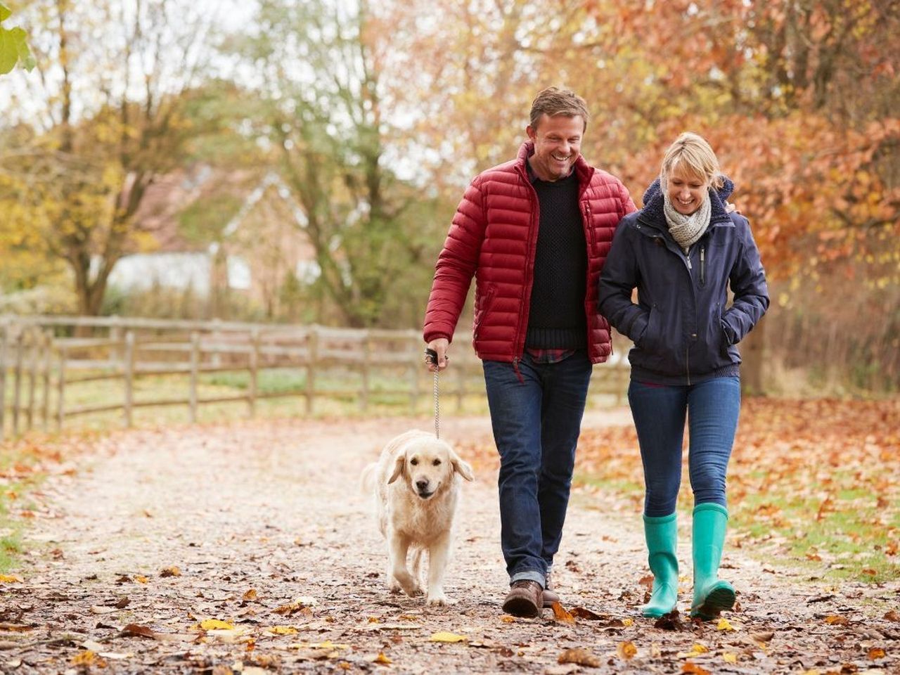 Herbstfarben & Harzpfade - 4 Tage inkl. Halbpension