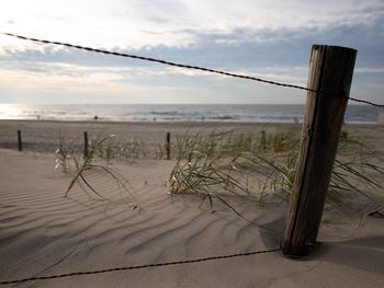 6 Tage am schönen Niederländischen Nordseestrand