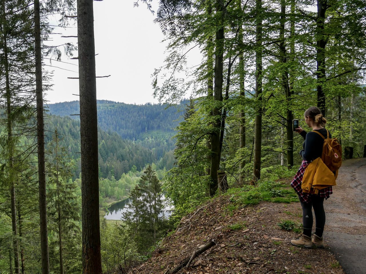 Die Große Auszeit im Schwarzwald