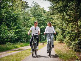 Niederlande: 3 Tage-Angebot Hansestadt Harderwijk auf der Veluwe