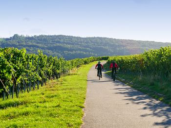 Wandern und Biken