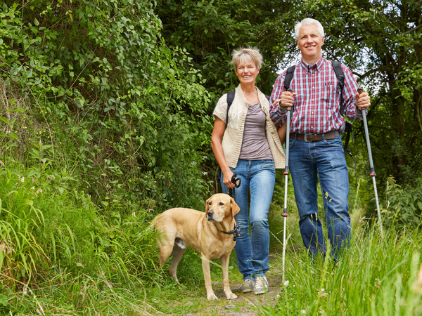 5 Tage Harzerlebnis pur in Thale, Sachsen-Anhalt inkl. Frühstück