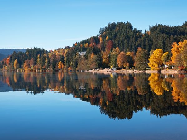 9 Tage am Titisee im Schwarzwald in Titisee-Neustadt, Baden-Württemberg inkl. Frühstück