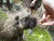 Zoo Schwerin mit Tageseintritt und Übernachtung