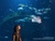OZEANEUM Stralsund mit Ticket und Hotel