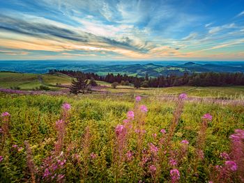 Raus in die Natur in der Mitte Deutschlands