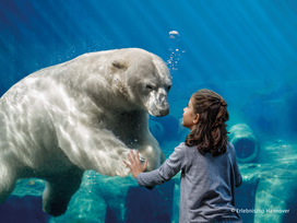 Zoo Hannover mit Übernachtung