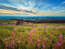 Urlaub im Grünen - Auszeit im Herzen Deutschlands