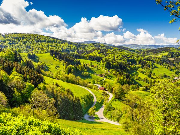 5 Tage Südschwarzwald: Naturparadies & Genuss in Zell im Wiesental Halbpension