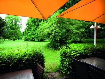 Lüneburger Sommer Wellness inkl. Salztherme - 3 Tage
