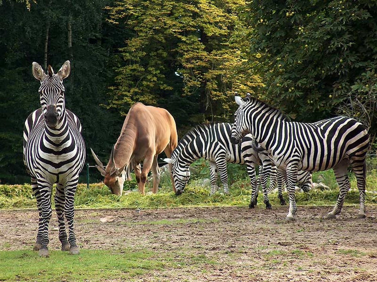 Auszeit mit Besuch des Cottbusser Tierparks