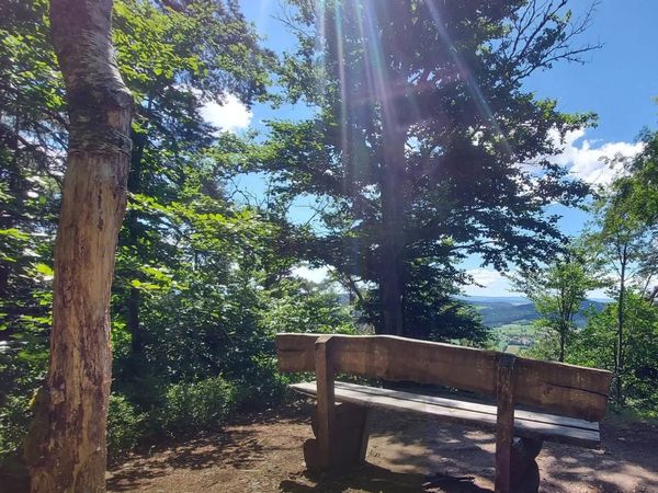 3 Tage Gourmet & Wellness im Bayerischem Wald in Rötz, Bayern inkl. Halbpension Plus