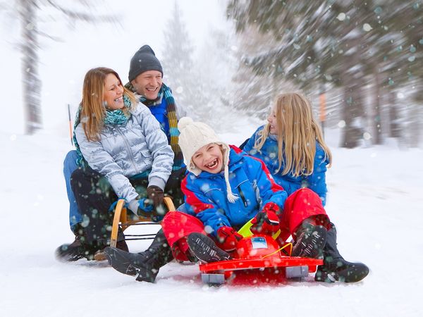 3 Tage Rodel-Familien-Highlight inkl. HP+ in Seiffen Halbpension Plus