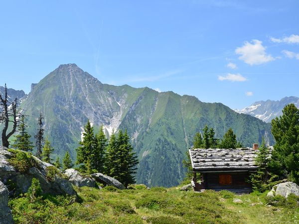 7 Tage 1 Woche Alpenfriede: zwischen Almen & Gipfeln mit AI in Jerzens, Tirol inkl. All Inclusive